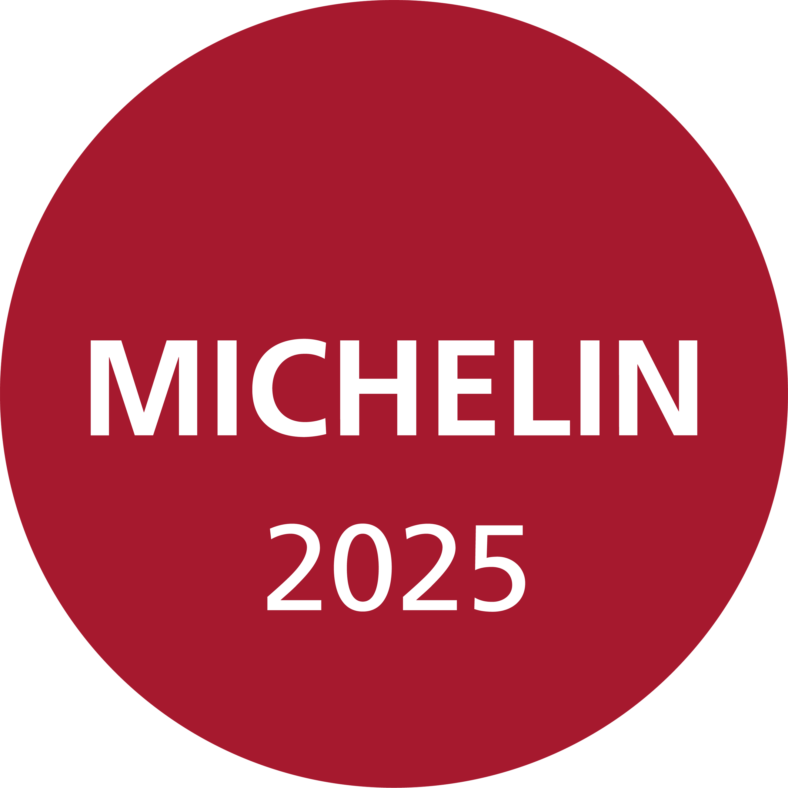 michelin 2025_selected_e-label